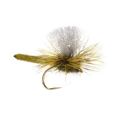  Jackie's Olive Palomino Parachute