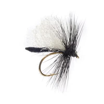 Jackie's Palamino Duckfly