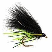 Cormorant Viva