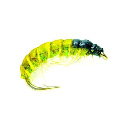 Czech Nymph Olive