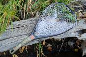 Nomad YAMPA Hand Net