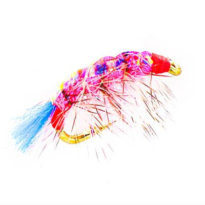 Shrimp Pink Blue