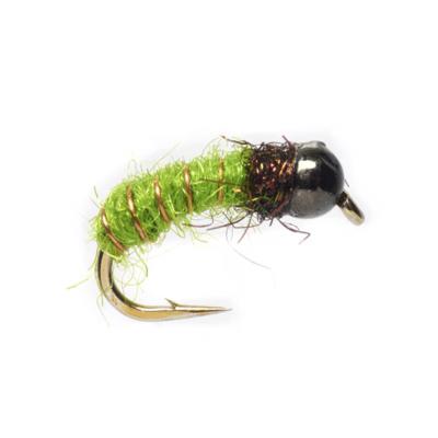  Procter's Caddis Pupa Green